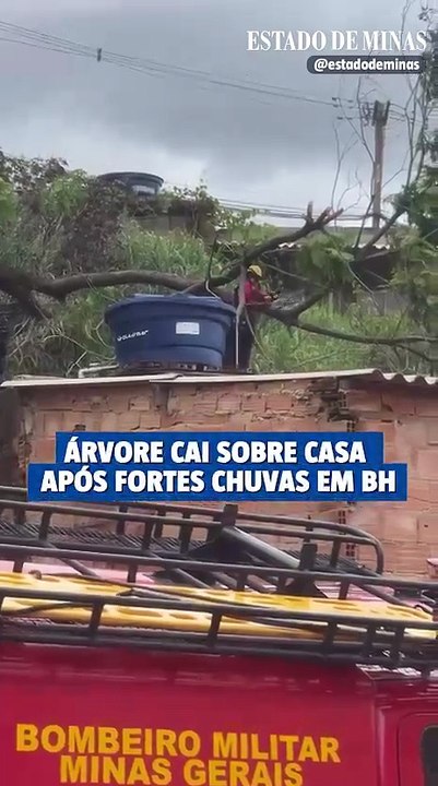 Árvore cai sobre casa após fortes chuvas em BH