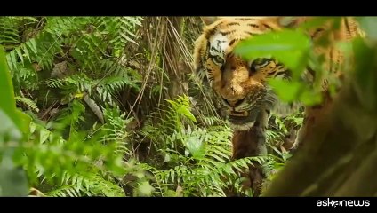 Dietro le quinte digitali di Sandokan, effetti speciali Made in Italy