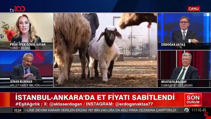 Sinan Burhan Prof'u yerin dibine batırdı! Hükümet klima mı taksın?