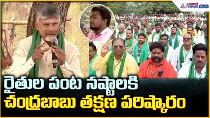CM Chandrababu Naidu: రైతుల పంట నష్టాలకి చంద్రబాబు తక్షణ పరిష్కారం | Asianet News Telugu