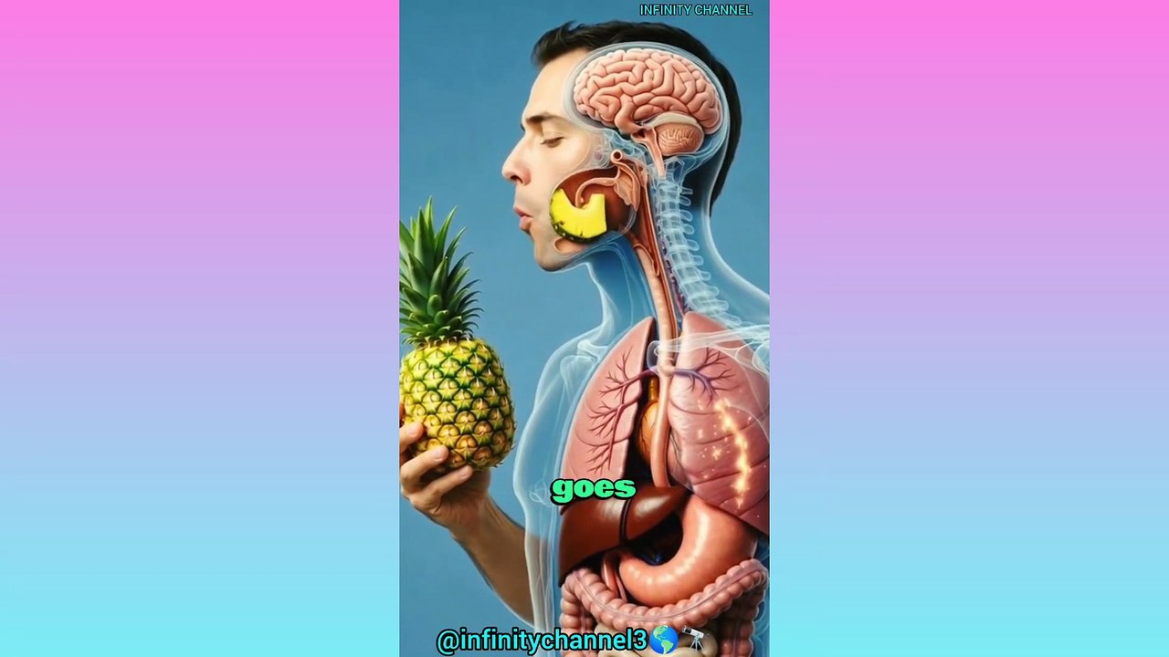 See me entertainment, cute cats,pets animals.