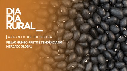 Feijão Mungo-Preto é tendência no mercado global
