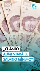 ¡Oficial! Salario mínimo aumentará a 315.04 pesos en 2026