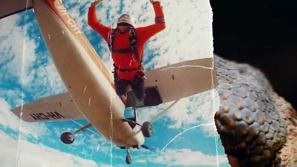 Humains contre animaux : ils ont voulu défier les animaux sauvages et ont perdu