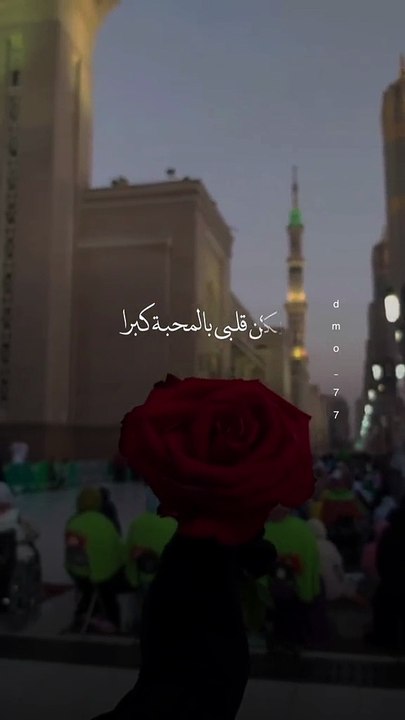 VID-20250529-WA0008