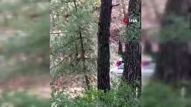 Ormanlık alanda genç kadına saldırı! Çığlıkları ormanı inletti!