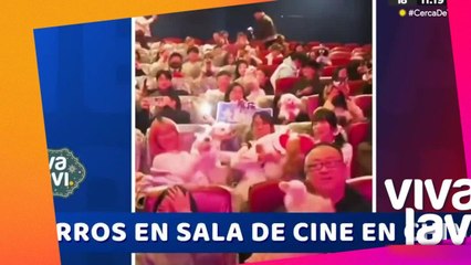 Perros en China tienen su propio cine