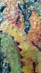 Francis Mbella , énigmatique