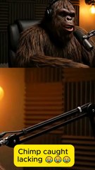 Chimp Own podcast..follow me