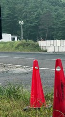 #shibatire #蕎麦切広大  #d1gp #d1