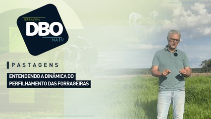 Pastagens: entendendo a dinâmica do perfilhamento das forrageiras