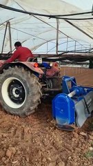 Soil preperation in greenhouse