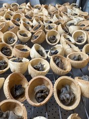 VIDÉO - "On élève ici un million d'escargots", le rush de noël pour Florine Haag, hélicicultrice à Thonville, en Moselle