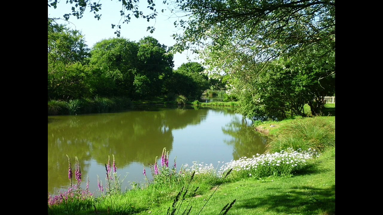 Images of the Eden Project and the St Austell area by Andrew Townsend