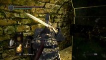 Dark Souls: Prepare to Die Edition online multiplayer - ps3