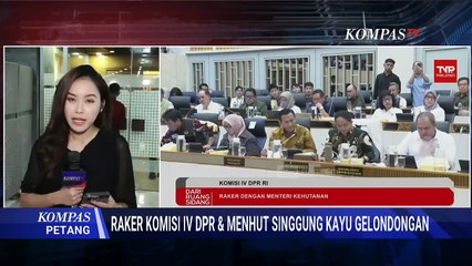 Menhut dan Polri Bentuk Tim Investigasi Usut Kayu Gelondongan di Lokasi Banjir Sumatera