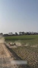 Man Falls off Horse During Unexpected Riding Slip