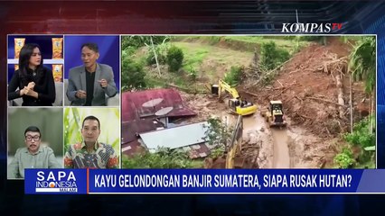 Emosi! WALHI Desak Kupas Tuntas Aktor Perusak Hutan Sumatera, Ini Respons Ito Sumardi dan DPR