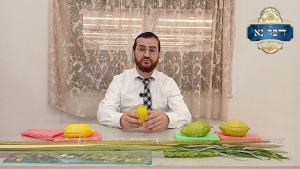כך תבחרו את ארבעת המינים שלכם | מדריך מפורט ומעשי עם המחשה ויזואלית לבחירת ארבעת המינים מהרב דוד בכר