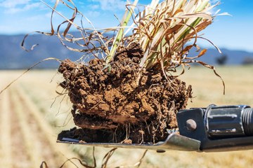Flinders Ranges farm Denham offered at Melrose auction.