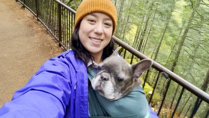 Why Dogs Are The New Kids For Millennials And Gen Z