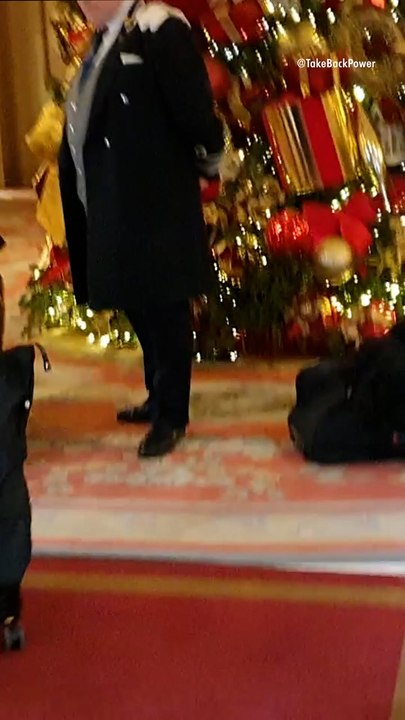 Protestors Pour Piles of Horse Manure on Ritz London Hotel Christmas Tree in Viral Video