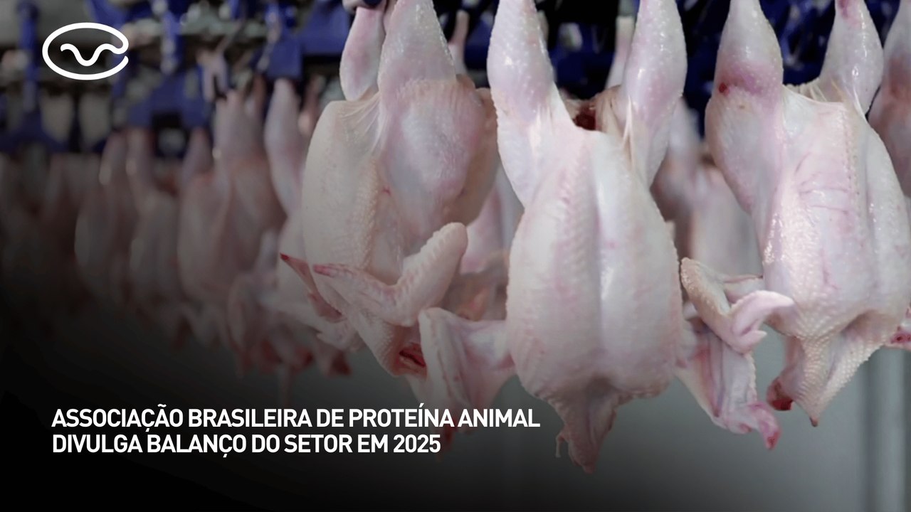 Associação Brasileira de Proteína Animal divulga balanço do setor em 2025
