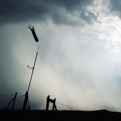 【Chamber Music】 Gale