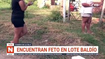 ENCUENTRAN FETO EN LOTE BALDÍO DE SANTA CRUZ