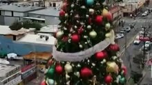 ✨ Así podría lucir un gran árbol navideño iluminando la zona centro de Mexicali, justo donde hoy se encuentra la construcción del Cocinero Chino.