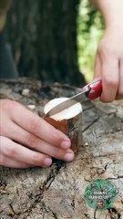 Short Videos alone female in jungle