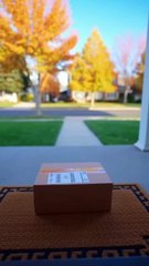 He stole the sandwich… and got DESTROYED 😂💥🥪#DoorbellPrank #InstantKarma #SandwichThief #FunnyFails #CaughtOnCamera #EpicPrank #ComedyReels #ViralShorts #PrankLife