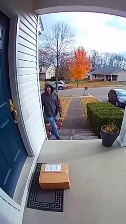 He tried to steal the package… and instantly regretted it 😭📦💥"
