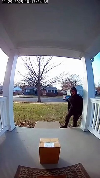“He tried to steal the package… the net had other plans! 😂” #DoorKarma