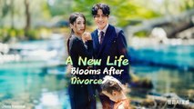 A New Life Blooms After Divorce Chinese Drama - English Sub