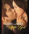 I Marry the CEO to Spite You Chinese Drama - English Sub