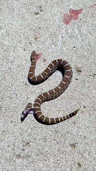 এটা থেকে আমরা কি শিখলাম?