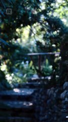 [doblado] La Reina Lobo Alfa Regresa en Español #reelshort