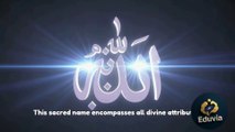 What is the meaning of Tawheed | Has the Holy Quran Taught the concept of Tawheed | What is the personal Name of Allah