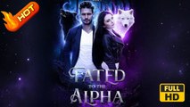 Fated To The Alpha - A Second Chance (2025) - FULL [Eng Sub]