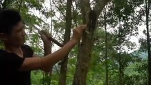 girl bushcraft alone build a life in the wild forest 8 Netflix 成人A片 SEXY MOVIES 三級色情片 adult videoporn 倫理片 香港電影國語線上看 Watch Movies Online for Free