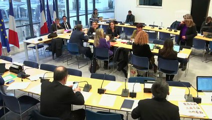 Commission des affaires européennes : Condamner la dérive autoritaire du gouvernement géorgien ; Renforcer l’exécution du règlement européen sur les services numériques à l’égard des plateformes d’e-commerce - Mercredi 3 décembre 2025