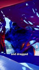 The Scout Who Outsmarted A Bear 😮