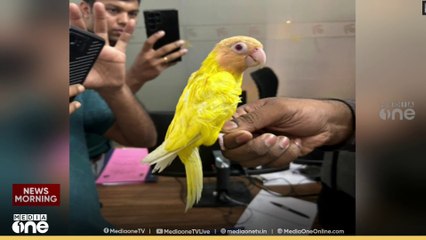 നെടുമ്പാശേരി വിമാനത്താവളത്തിൽ പക്ഷികളെ കടത്തിയ യാത്രക്കാർ പിടിയിൽ