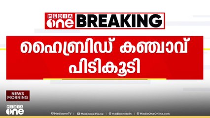 രണ്ട് കോടി വിലമതിക്കുന്ന ഹൈബ്രിഡ് കഞ്ചാവ് പിടികൂടി