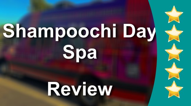 Shampoochi Day Spa Port St. Lucie Remarkable Five Star Review by Jenny Stevenson