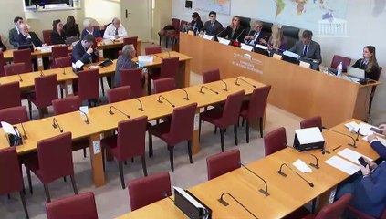 Commission des affaires étrangères : Rapport d’information sur l’irruption de l’intelligence artificielle dans les ingérences étrangères ; Approbation de convention de coopération judiciaire internationale  - Mercredi 3 décembre 2025