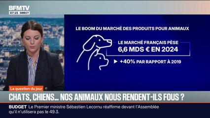 Déguisements, calendriers de l'Avent, peluches...Le marché français des produits pour animaux en forte progression