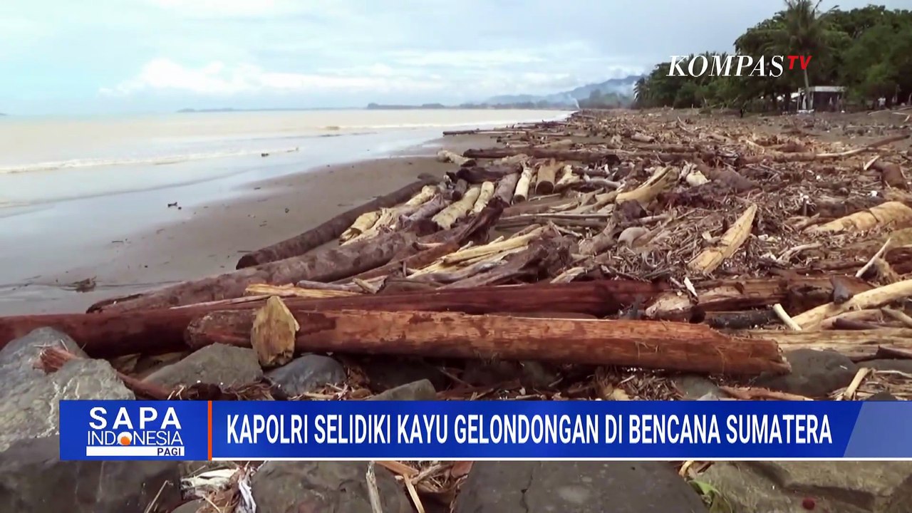 Kapolri Bakal Selidiki Temuan Kayu Gelondongan yang Terbawa banjir di Sumatera | SAPA PAGI