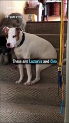 Her Body Is Aging… But His Love Only Grows Stronger